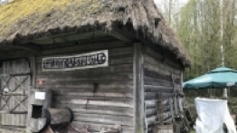 Puszcza Białowieska / Białowieża - zdjęcie 29