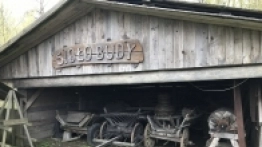 Puszcza Białowieska / Białowieża - zdjęcie 31