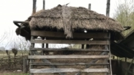 Puszcza Białowieska / Białowieża - zdjęcie 32