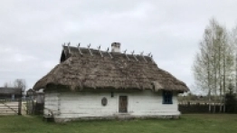 Puszcza Białowieska / Białowieża - zdjęcie 33