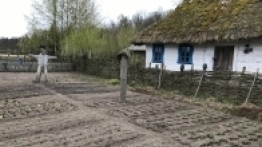 Puszcza Białowieska / Białowieża - zdjęcie 34