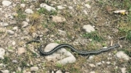 Majówka z PC - pojedyncze zgłoszenia - zdjęcie 7