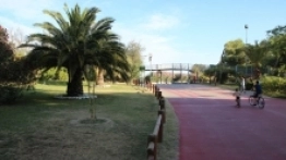 Kemping Pino Mare - zdjęcie 1