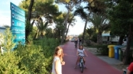 Kemping Pino Mare - zdjęcie 2