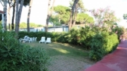 Kemping Pino Mare - zdjęcie 4