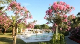 Kemping Pino Mare - zdjęcie 5