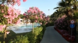 Kemping Pino Mare - zdjęcie 6