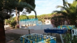 Kemping Pino Mare - zdjęcie 7