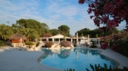 Kemping Pino Mare - zdjęcie 9