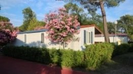 Kemping Pino Mare - zdjęcie 11