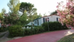 Kemping Pino Mare - zdjęcie 12