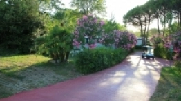 Kemping Pino Mare - zdjęcie 16