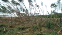 Nawałnica na Pomorzu - zdjęcie 1