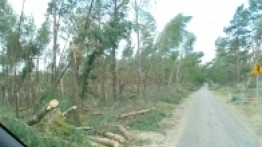 Nawałnica na Pomorzu - zdjęcie 2