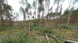 Nawałnica na Pomorzu - zdjęcie 3