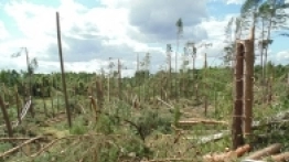 Nawałnica na Pomorzu - zdjęcie 6