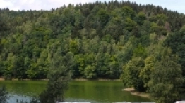 Złoty Potok Resort - zdjęcie 8