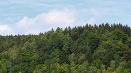 Złoty Potok Resort - zdjęcie 9