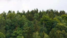 Złoty Potok Resort - zdjęcie 35