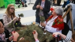 World Travel Show w meksykańskim stylu  - zdjęcie 15