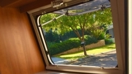 Autralijska Niewiadówka - zdjęcie 7