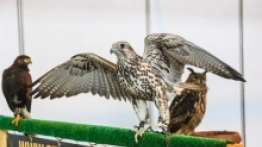 Tour Salon 2018 - zdjęcie 11