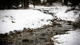 Spacer po Zieleńcu - zdjęcie 6