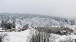 Spacer po Zieleńcu - zdjęcie 13