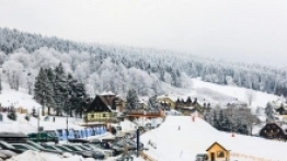 Spacer po Zieleńcu - zdjęcie 14