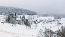 Spacer po Zieleńcu - zdjęcie 15