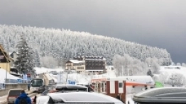 Spacer po Zieleńcu - zdjęcie 21