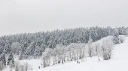 Spacer po Zieleńcu - zdjęcie 27