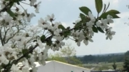 Majówka 2018 naszych Czytelników - zdjęcie 43