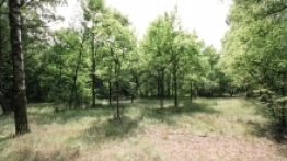 Opuszczony kemping w Antoninie - zdjęcie 10