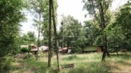 Opuszczony kemping w Antoninie - zdjęcie 11