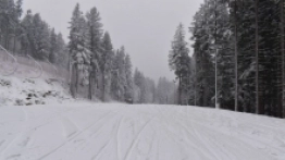 Naśnieżanie stoków w Karpaczu - zdjęcie 4