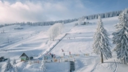 Zieleniec gotów na ferie - zdjęcie 3