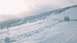 Zieleniec gotów na ferie - zdjęcie 5