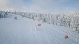 Zieleniec gotów na ferie - zdjęcie 8