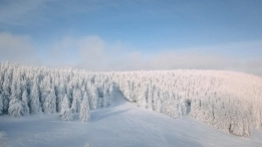 Zieleniec gotów na ferie - zdjęcie 9