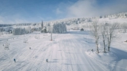 Zieleniec gotów na ferie - zdjęcie 10