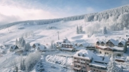 Zieleniec gotów na ferie - zdjęcie 11