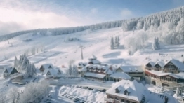 Zieleniec gotów na ferie - zdjęcie 12