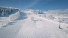 Zieleniec gotów na ferie - zdjęcie 13