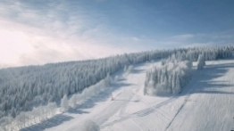 Zieleniec gotów na ferie - zdjęcie 14