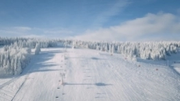 Zieleniec gotów na ferie - zdjęcie 15