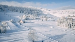 Zieleniec gotów na ferie - zdjęcie 16