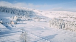 Zieleniec gotów na ferie - zdjęcie 17