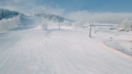 Zieleniec gotów na ferie - zdjęcie 19