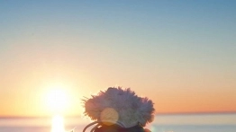 WebastoXperience - zdjęcie 10